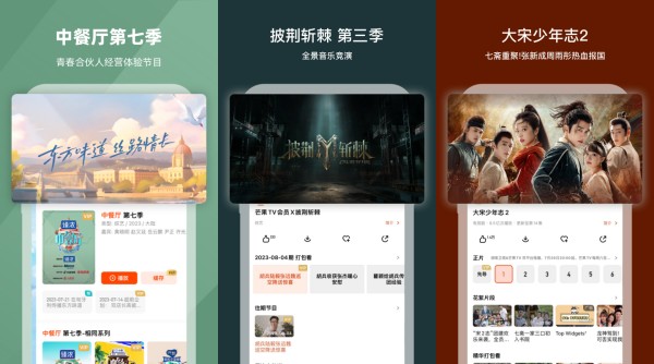 芒果TV最新版：一款功能丰富的网络影视播放软件
