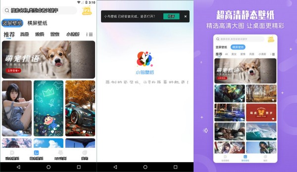 小鸟壁纸手机版：一款体验更多视觉享受的壁纸创作软件