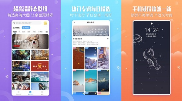 小鸟壁纸安卓版：一款提供个性化壁纸的快速更换软件