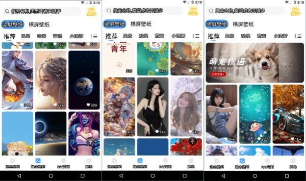 小鸟壁纸iOS版：一款提供丰富功能的个性化壁纸软件