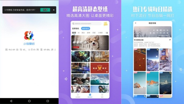 小鸟壁纸电脑版：一款免费体验的壁纸更换软件
