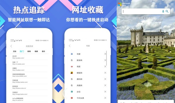 极搜浏览器专业版：一款支持多语种的浏览器