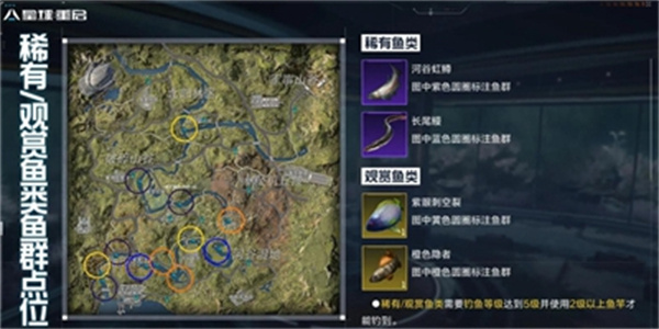 星球重启稀有鱼钓鱼点在哪？星球重启稀有鱼钓鱼点位置揭秘
